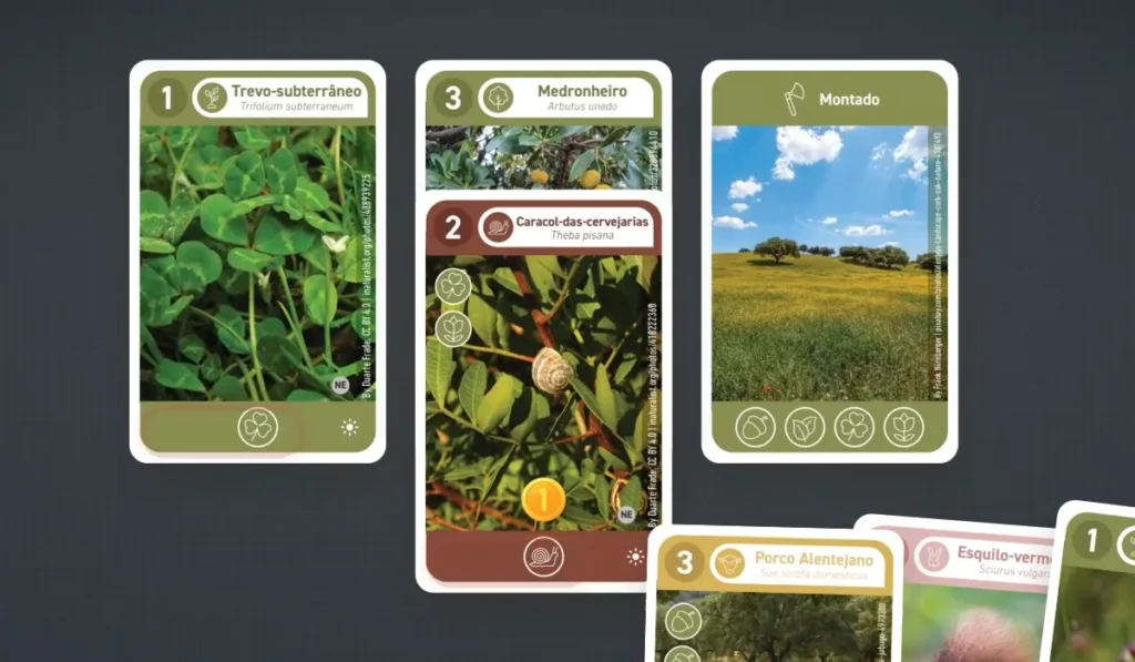 Cartas do jogo Montado em jogo, com espécies de fauna e flora do montado